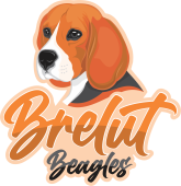 BRELUT